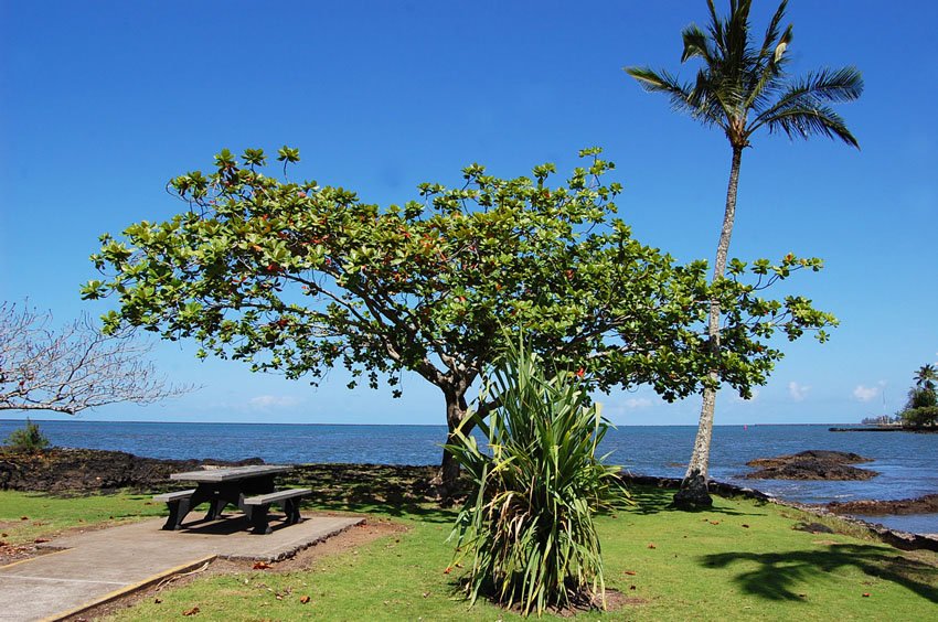 Picnic area