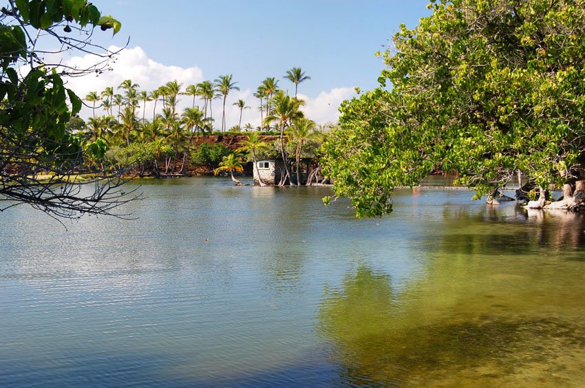 Ancient Hawaiian fishponds