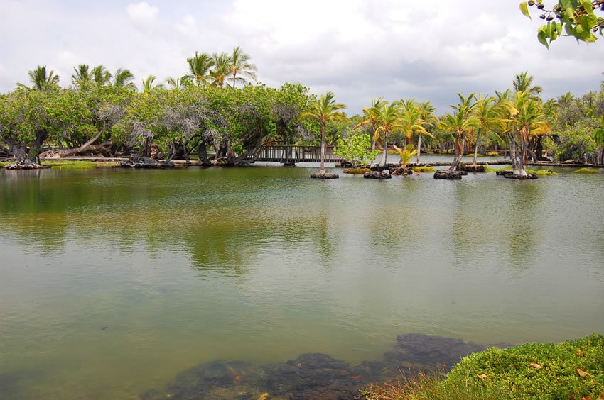 Located at Mauna Lani Resort grounds