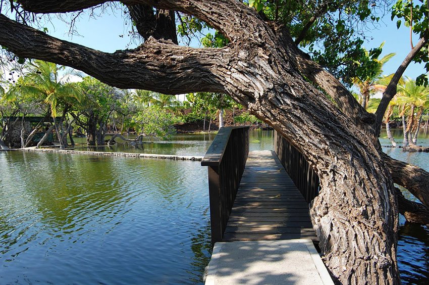 Narrow bridge