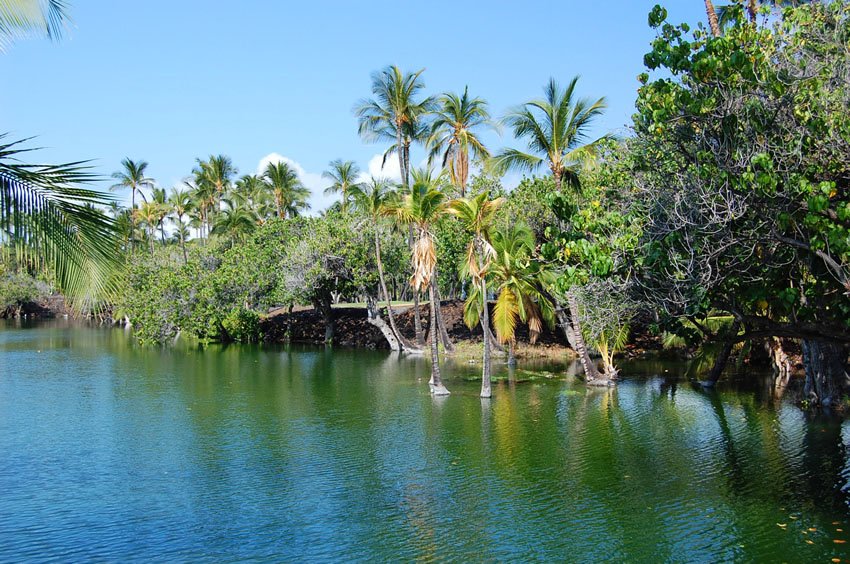 Ponds still produce fish