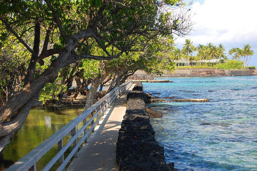 Shoreline trail