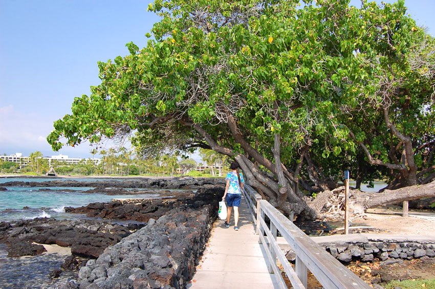 Shoreline trail