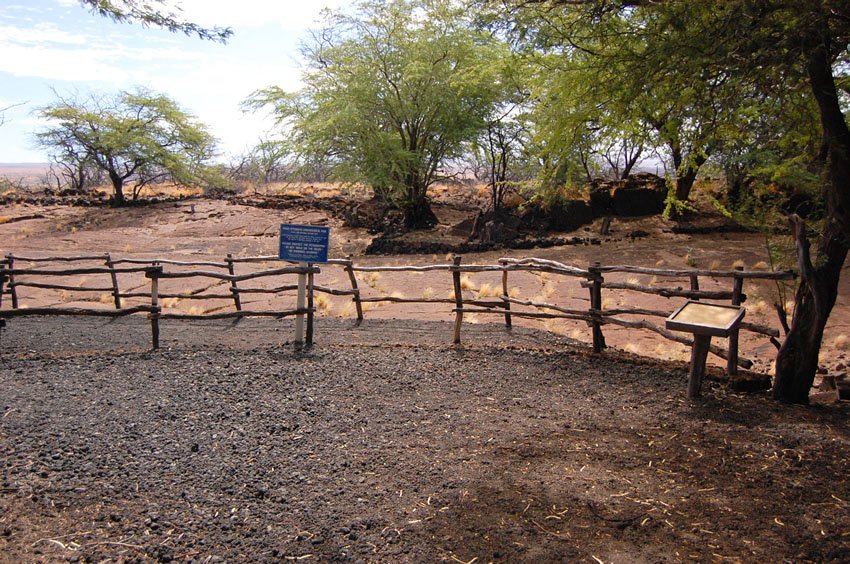 Puako Petroglyph Archaeological Park