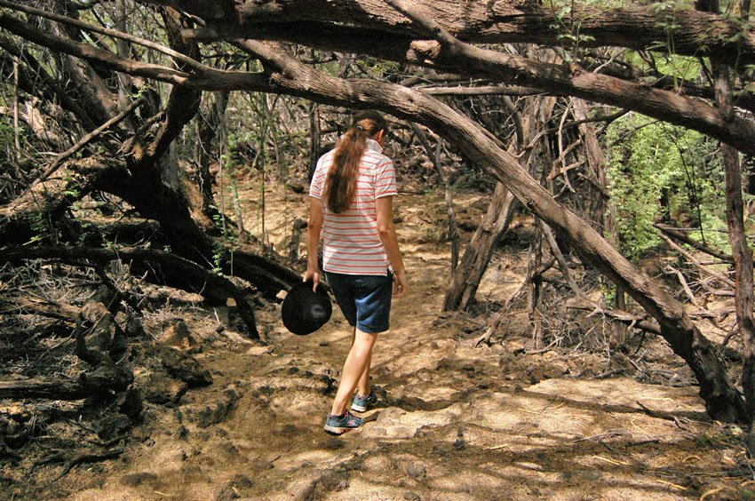 Trail to the petroglyphs