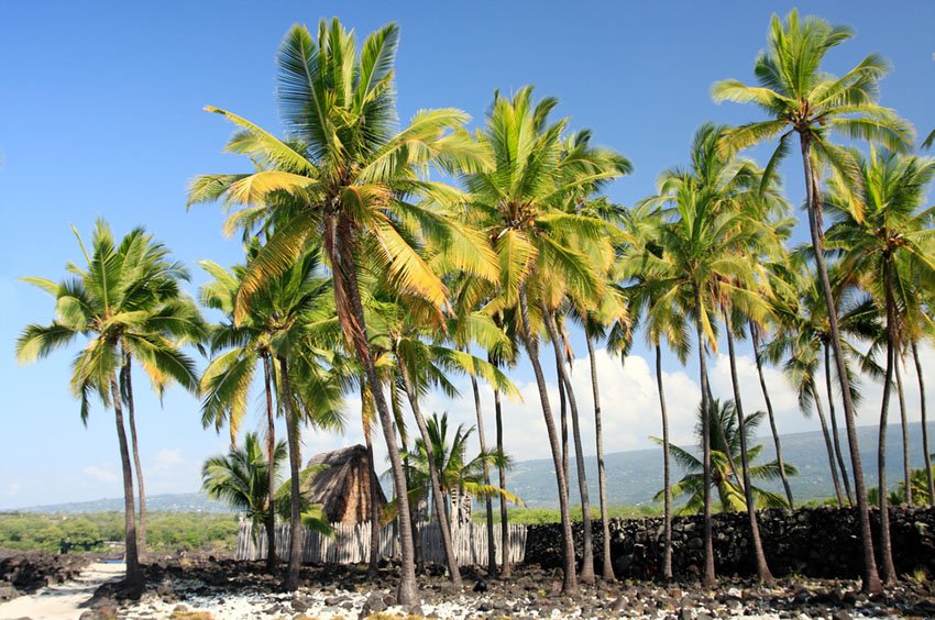 Hale o Keawe Heiau