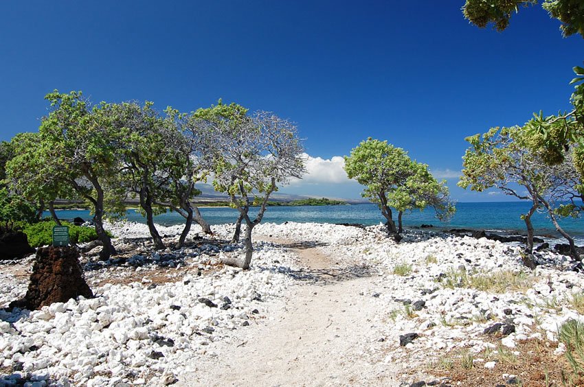 Ala Kahakai Trail