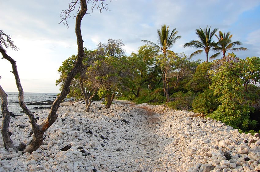 Ancient Hawaiian trail