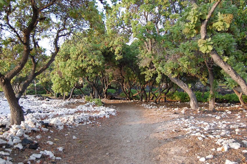 Area near Anaeho'omalu Bay