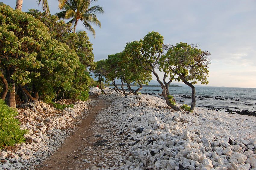 Evening stroll along the ocean