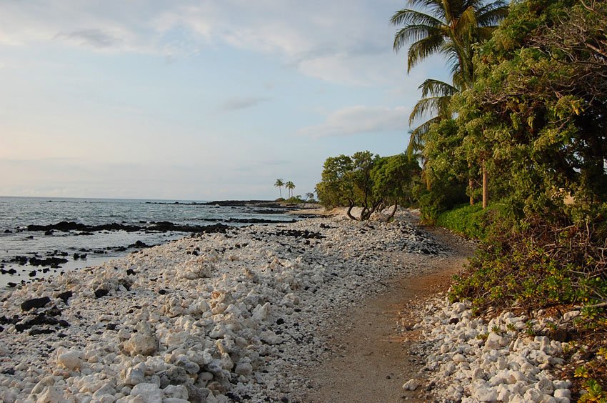 Waikoloa trail by the sea