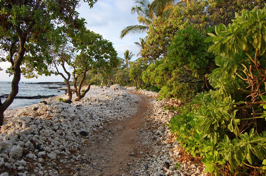 Area near Waikoloa Anchialine Ponds