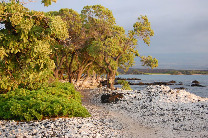 Waikoloa Beach Resort attraction