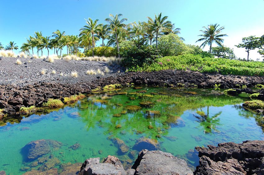 Anchialine ponds