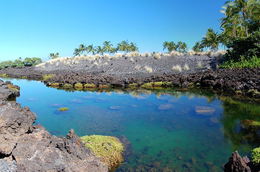 Brackish water lava pools