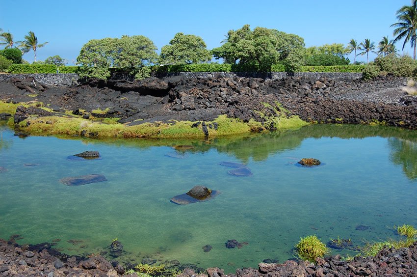 Brackish water lava pools