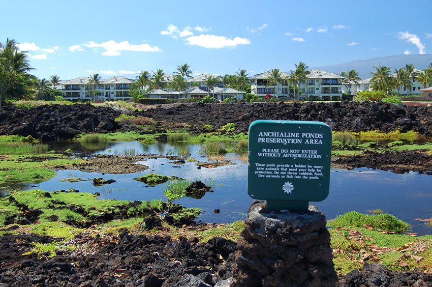 Info sign