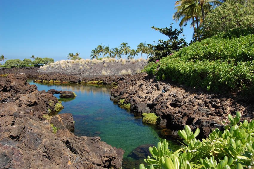 Popular Waikoloa attraction