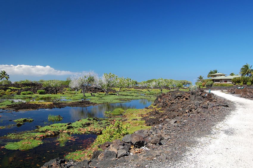 Scenic trail