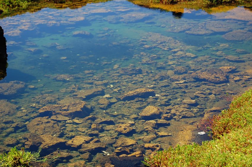 Shallow anchialine pond