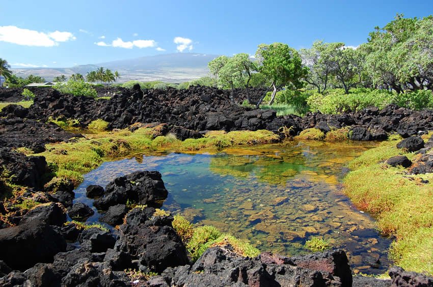 Waikoloa Anchialine Pond Preservation Area