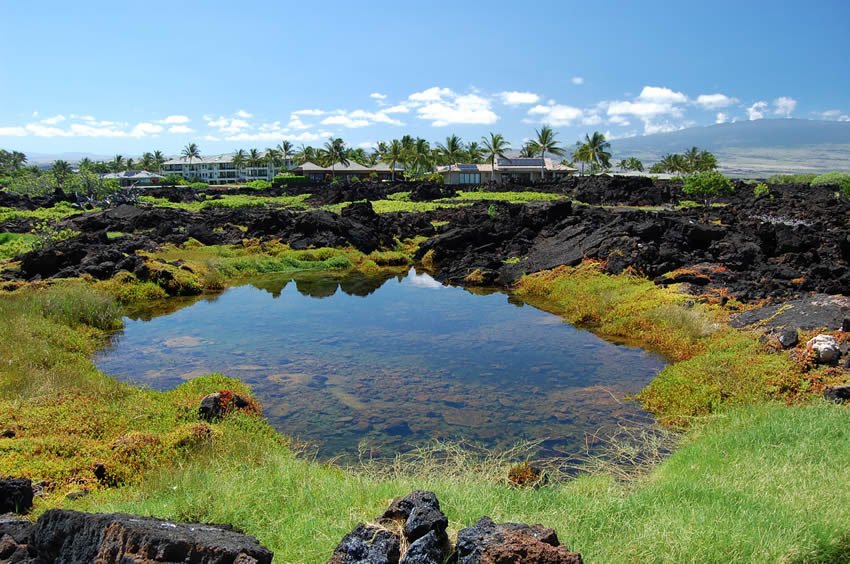 Located at Waikoloa Beach Resort