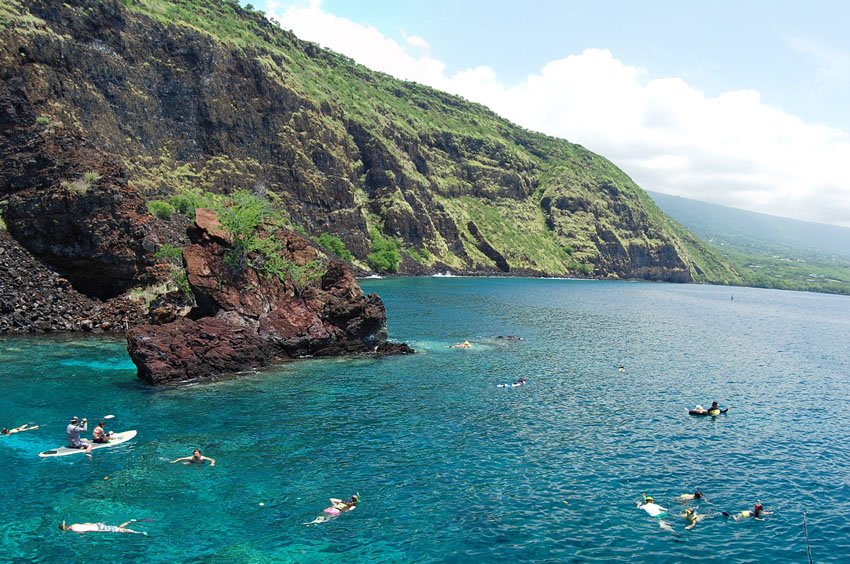 Kealakekua Bay snorkeling