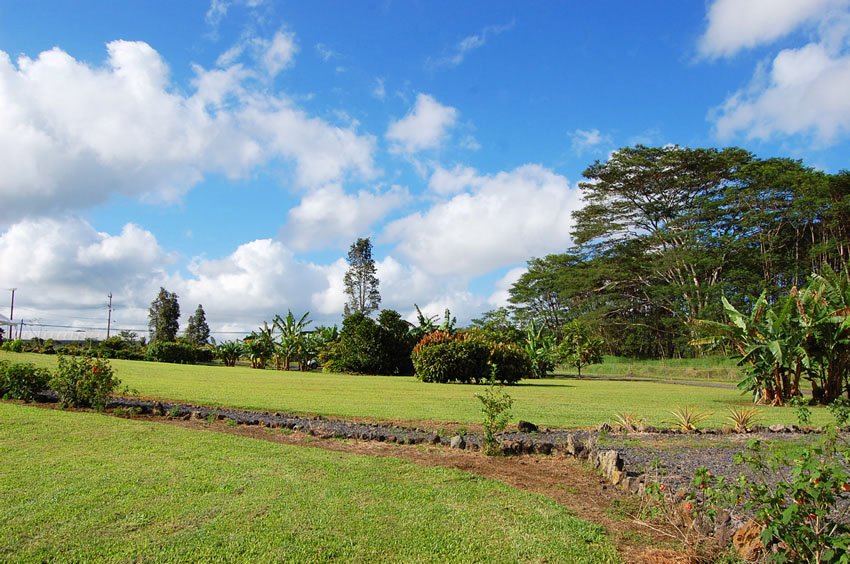 Farm view