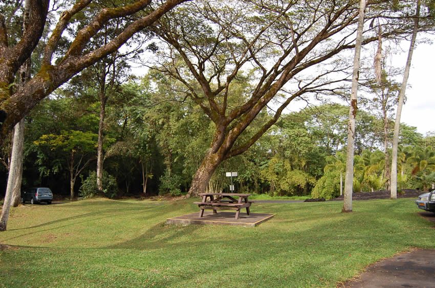 Picnic area