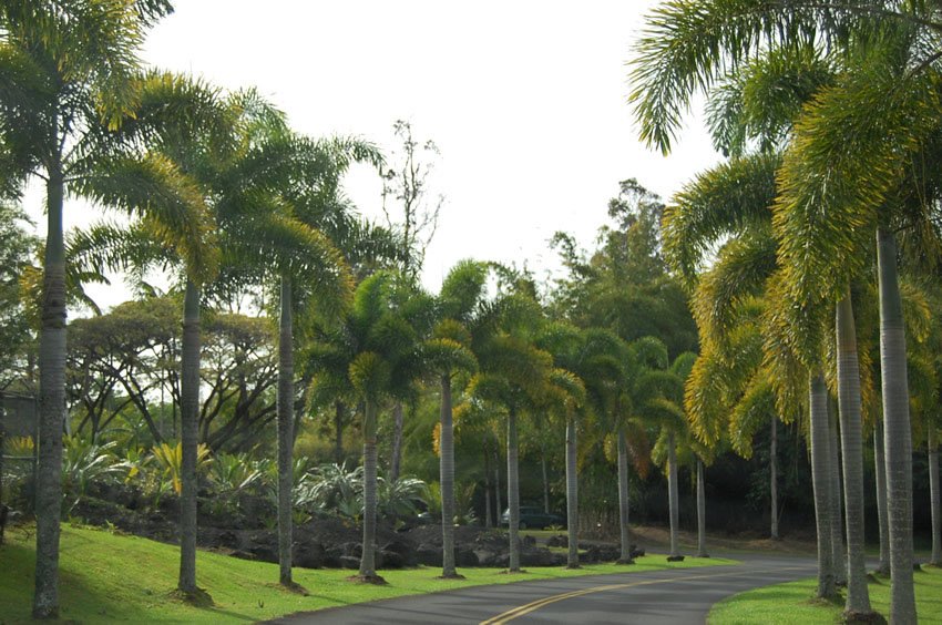 Scenic road to the zoo entrance