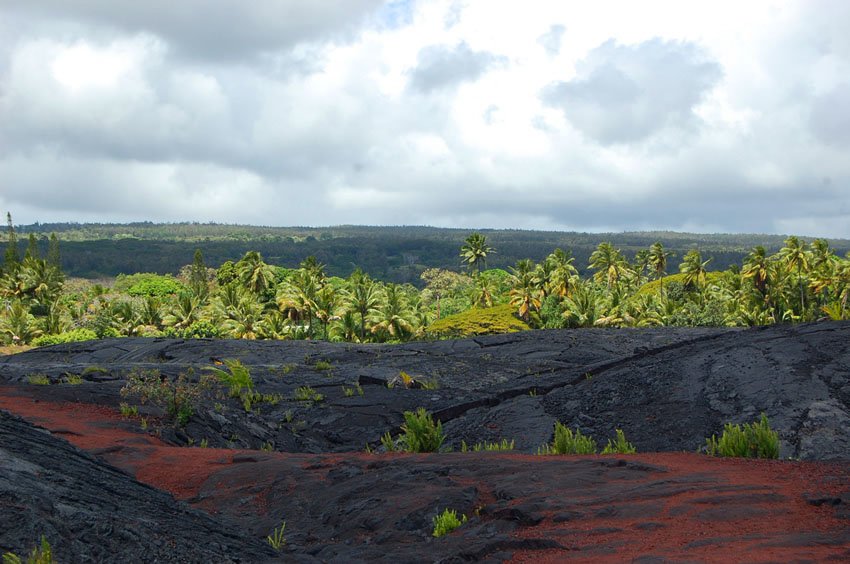 Kalapana scenery