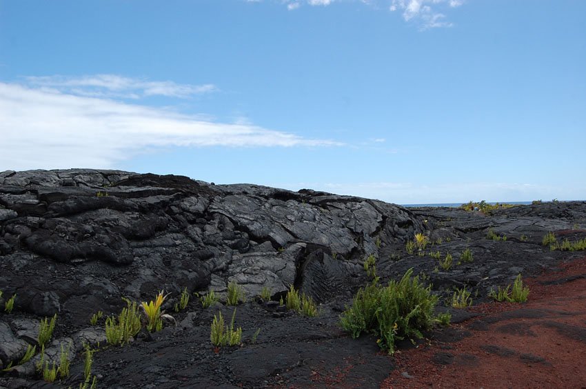 Red rocks between the lava