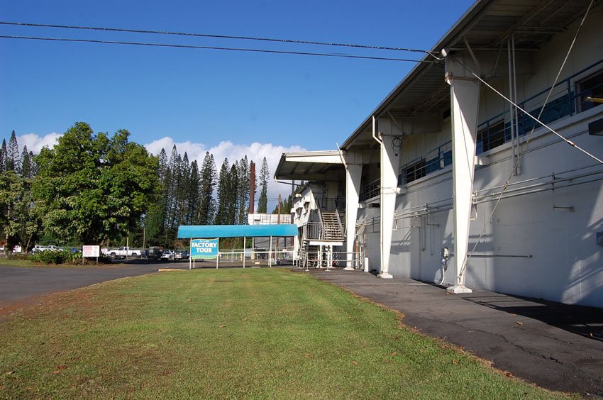 Macadamia nut factory