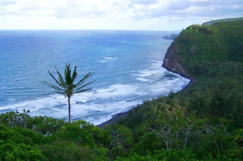 Overlooking the Pacific Ocean