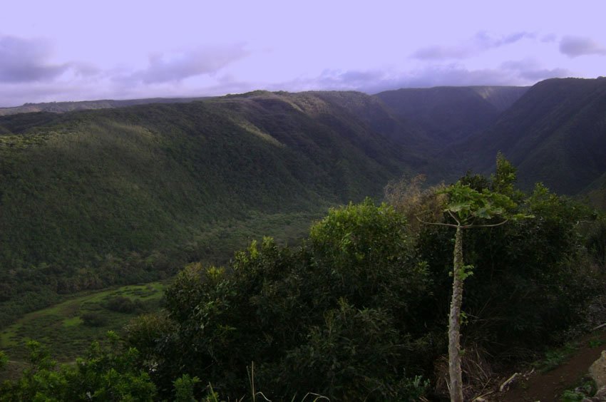 Pololu Valley view