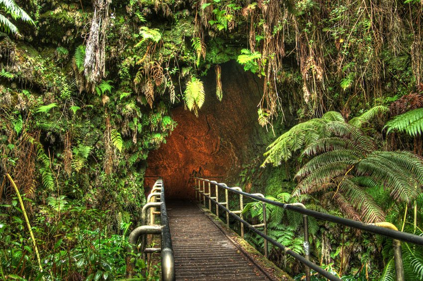 Thurston Lava Tube