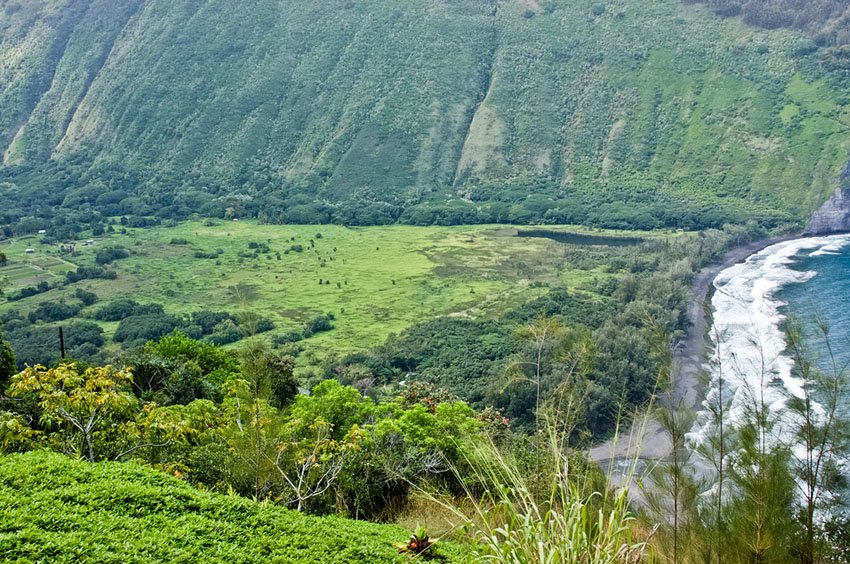 Waipio Valley