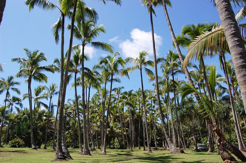 Ahalanui Beach Park