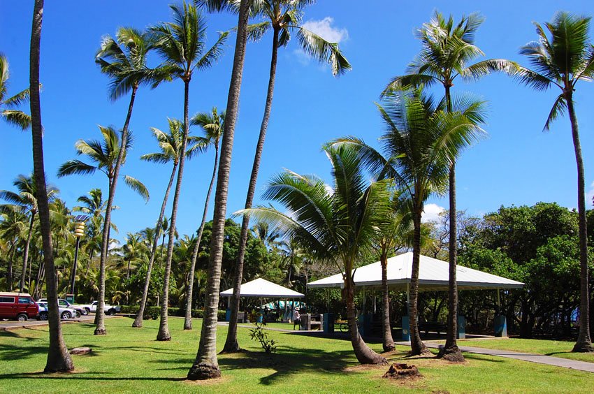 Beach park pavilions