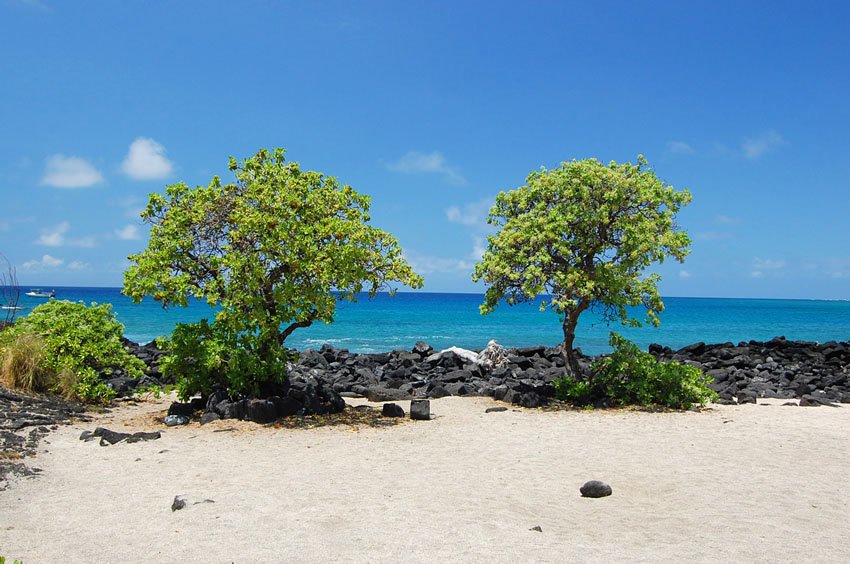 Beach near Honokohau Harbor