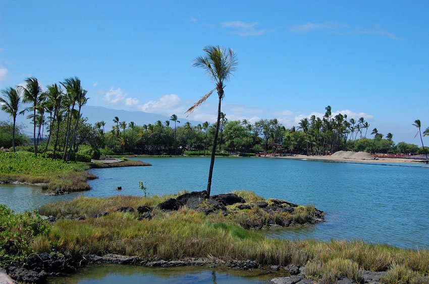 Ku'uali'i Fishpond