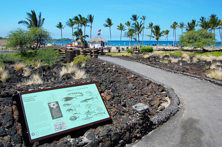 Path to the beach