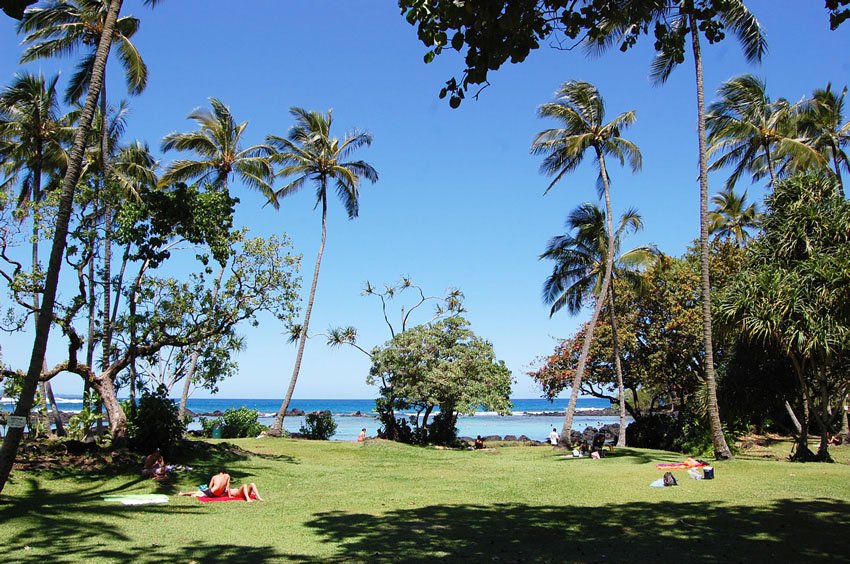 Park with many trees