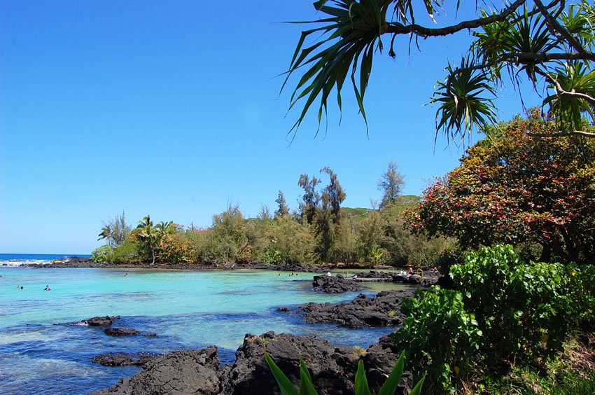 Tropical beach park