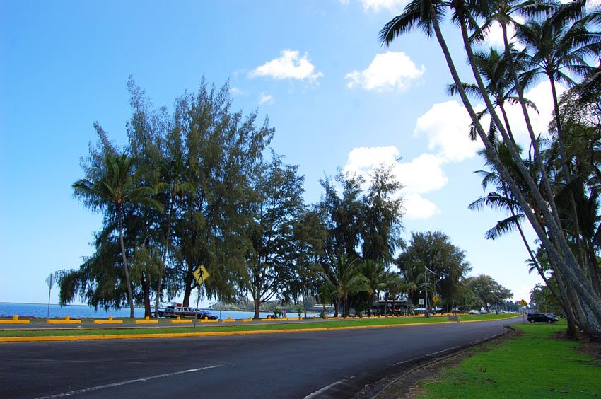 Hilo Bay Beachfront Park