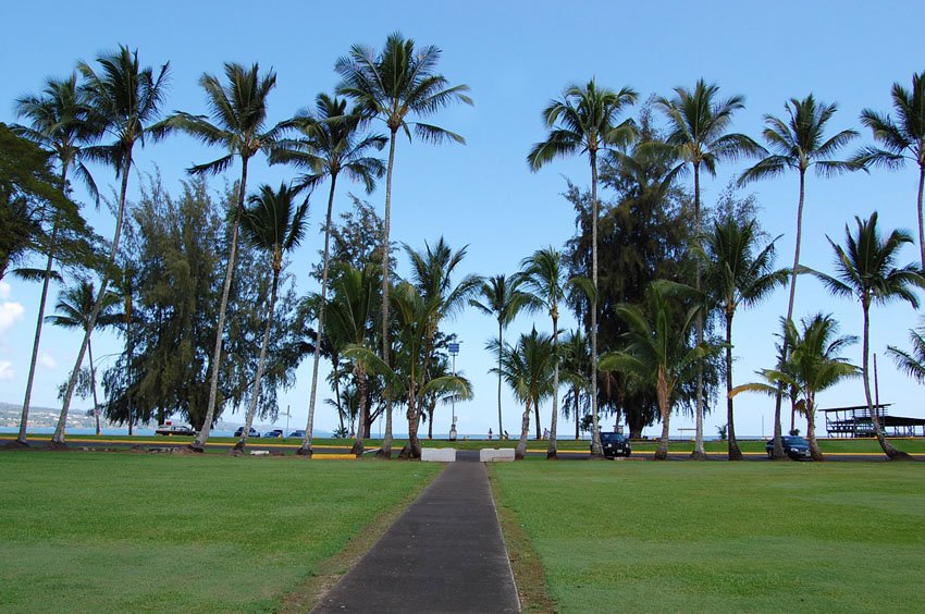 Walkway in the park