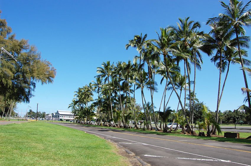 Scenic Hilo park