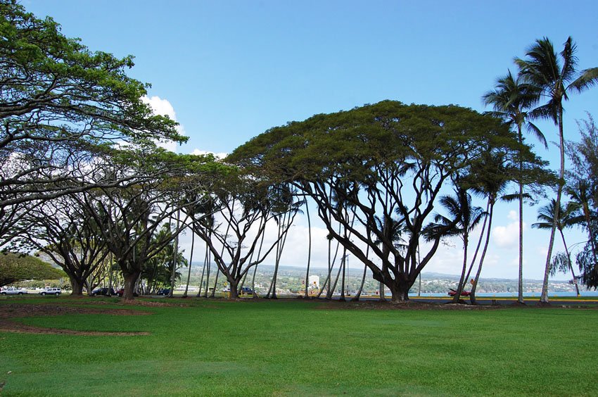 Hilo Bay Beachfront Park