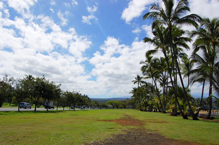 Spacious beach park in Hilo