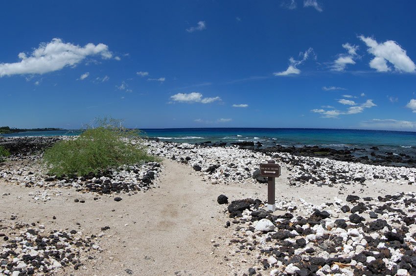 Beach trail